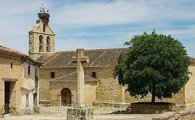 Cantueso en La Matilla (Segovia) - Foto 8