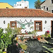 El Patio del Naranjo 001