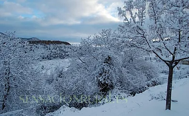Casa Callejón en Nerpio (Albacete) - Foto 13
