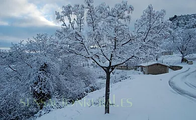 Casa Callejón en Nerpio (Albacete) - Foto 15
