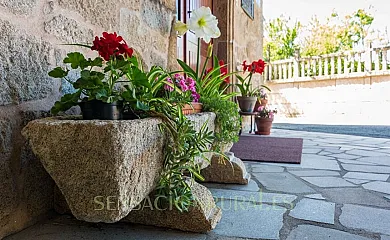 Casa de Marcelo en Padrón (A Coruña) - Foto 16