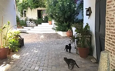 Las Navezuelas en Cazalla de la Sierra (Sevilla) - Foto 3