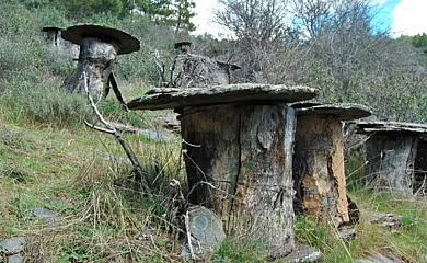 La Casa del Sol en Campillo de Ranas (Guadalajara) - Foto 14