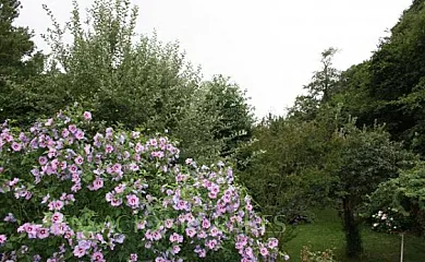 Casa María Cecilia en Cangas del Narcea (Asturias) - Foto 7