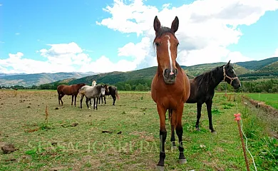 Mas d´Aravó en Talltorta (Girona) - Foto 5