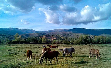 Mas d´Aravó en Talltorta (Girona) - Foto 7
