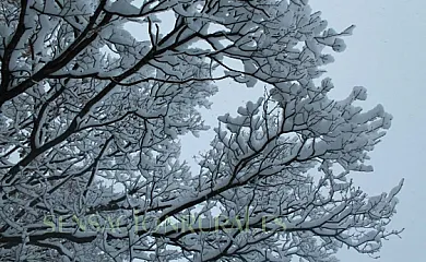 Casa Pernalle en Erill La Vall (Lleida) - Foto 4