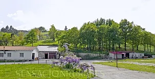 Agroturismo Miamendi 004