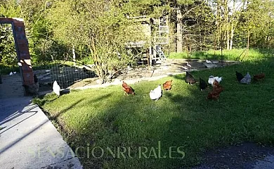 Agroturismo Miamendi en Larrabetzu (Vizcaya) - Foto 7