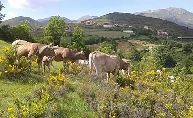Apartamentos Castell en Neril (Huesca) - Foto 2