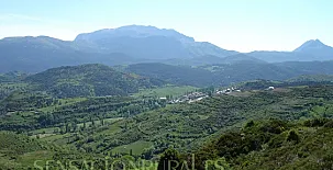 Apartamentos Castell 005