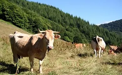Ecologico Kaaño Etxea en Arrarats (Navarra) - Foto 19