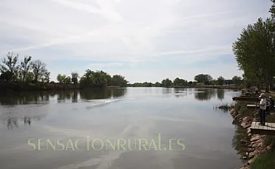 La Casona de San Miguel en San Miguel Del Pino (Valladolid) - Foto 16