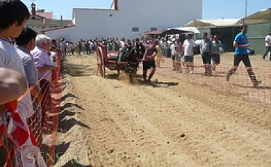 Casa rural Barracas en Barracas (Castellón) - Foto 6