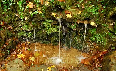 Aizalegia en Piedadeko Gaina (Navarra) - Foto 8