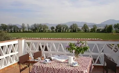 Vega de Antequera en Antequera (Málaga) - Foto 9