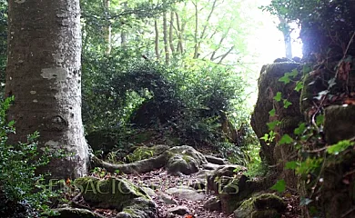 Mas El Güell en Sant Pere de Torello (Barcelona) - Foto 13