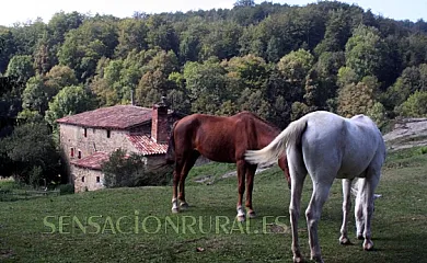 Mas El Güell en Sant Pere de Torello (Barcelona) - Foto 12