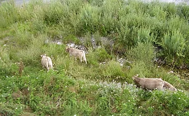 Casa Magí en Vilaller (Lleida) - Foto 13