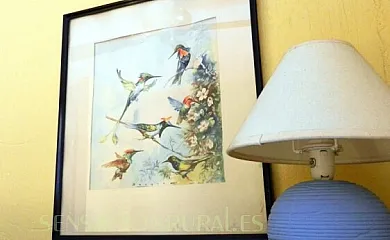 Las Cuatro Calles en Piedralaves (Ávila) - Foto 11