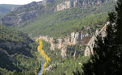 Casa rural Gerardo en Armallones (Guadalajara) - Foto 9