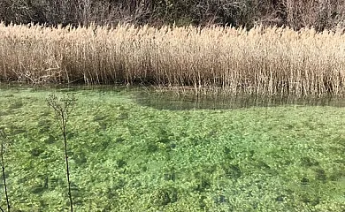 Casa rural Gerardo en Armallones (Guadalajara) - Foto 10