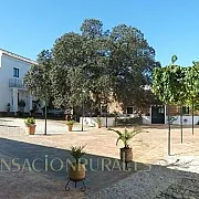 Cortijo Almazara Quintanilla 001