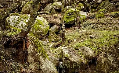 Casa la Fortaleza en Navaluenga (Ávila) - Foto 19