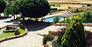 Finca Pura Vida 0059