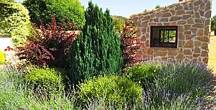 Finca Pura Vida 0060