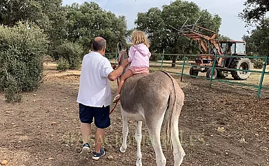 Casa Rural Gelma en Vega De Tirados (Salamanca) - Foto 8