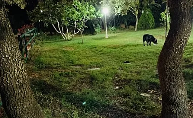 Casa Rural Gelma en Vega De Tirados (Salamanca) - Foto 9