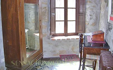 Menta y canela en Tórtoles (Ávila) - Foto 10