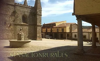 Menta y canela en Tórtoles (Ávila) - Foto 16