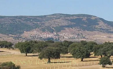 Menta y canela en Tórtoles (Ávila) - Foto 19