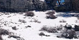 Fuente del Ciervo I y II 0014