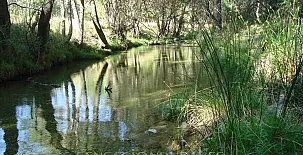Fuente del Ciervo I y II 0019