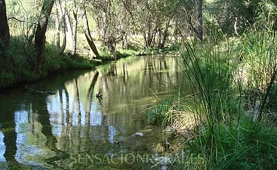 Fuente del Ciervo I y II en Arroyo Frío (Jaén) - Foto 19