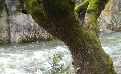 Fuente del Ciervo I y II en Arroyo Frío (Jaén) - Foto 20