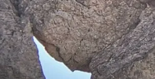 Fuente del Ciervo I y II 0025