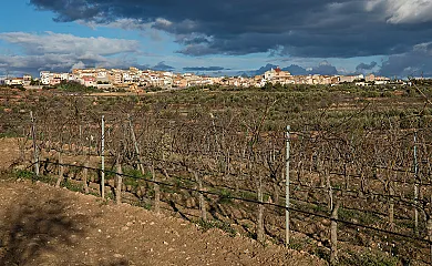 La Maysou en El Masroig (Tarragona) - Foto 6