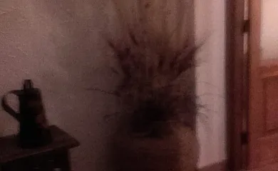 Casa La Cañada en Yeste (Albacete) - Foto 16