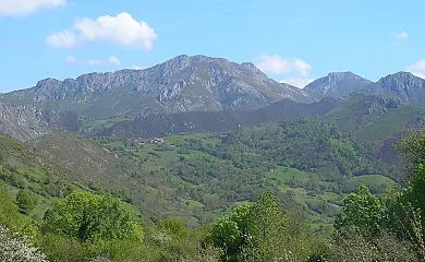 Casa de aldea El Coallu en Cangas de Onis (Asturias) - Foto 14