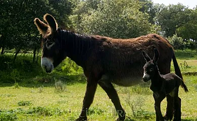 Casa de los Arribes en Fornillos de Fermoselle (Zamora) - Foto 2