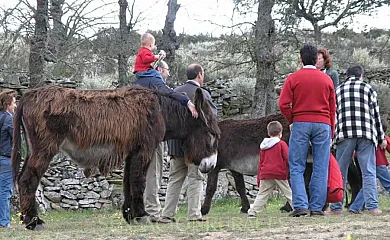Casa de los Arribes en Fornillos de Fermoselle (Zamora) - Foto 3