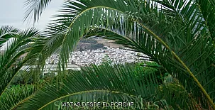 Finca Villa Rey 0033