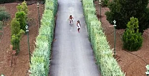 Finca Villa Rey 0035