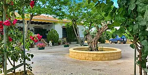 Finca Villa Rey 0057