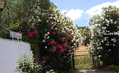 Antiguo Molino en El Bosque (Cádiz) - Foto 24