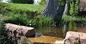 El Molino del Serio 009